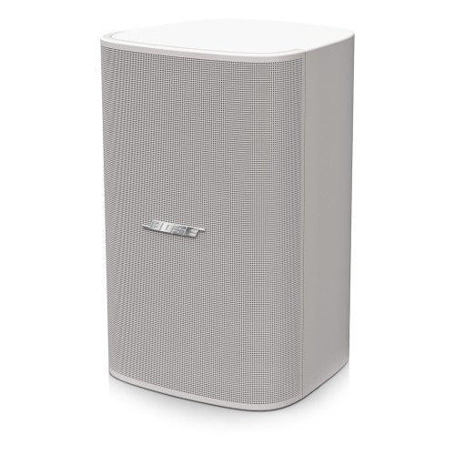 Subwoofer de Pared/Techo Bose Design Max DM10S-SUB