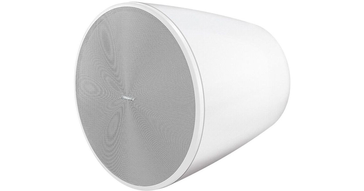 Subwoofer colgante Bose Design Max DM10P-SUB 10" 150W